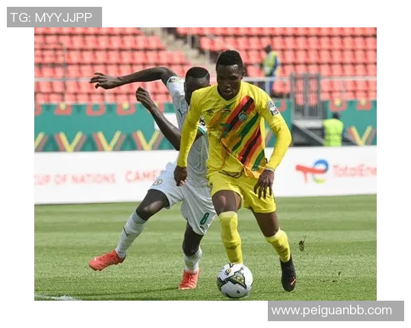 非洲杯精彩对决南非迎战纳米比亚赛前分析与战术展望